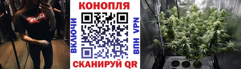 Марихуана план  Купить закладки  Курчатов 